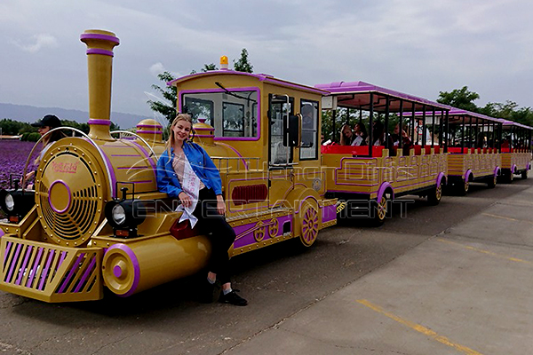 Antique Trackless Train Is Available in Dinis