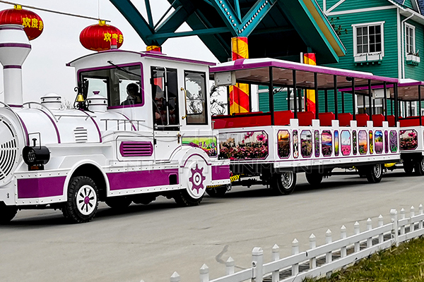 Colorful Theme Park Train Is Available in Dinis