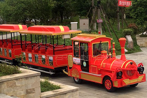 Dinis Parent-Child Interactive Luxury Amusement Park Train for Sale