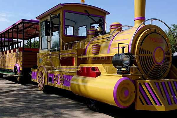 Luxury Seat for Track Historic Train Ride